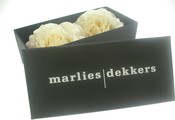 Marlies Dekkers 